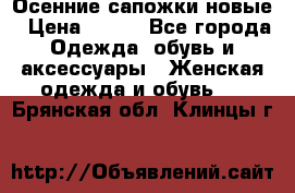 Осенние сапожки новые › Цена ­ 600 - Все города Одежда, обувь и аксессуары » Женская одежда и обувь   . Брянская обл.,Клинцы г.